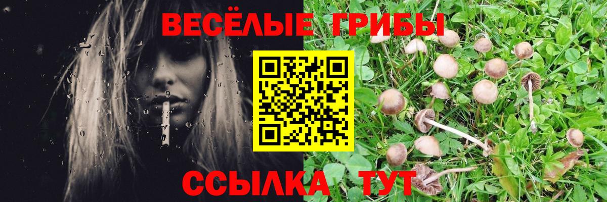 Галлюциногенные грибы GOLDEN TEACHER Кунгур