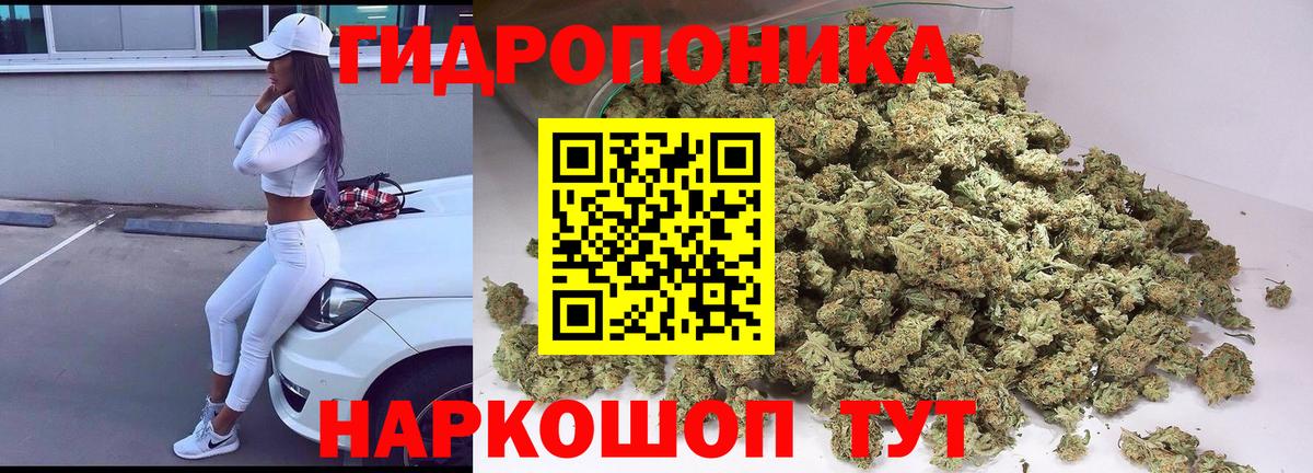 Каннабис сатива  Конопля Amnesia  Вход с VPN  Канабис AK-47  Кунгур 